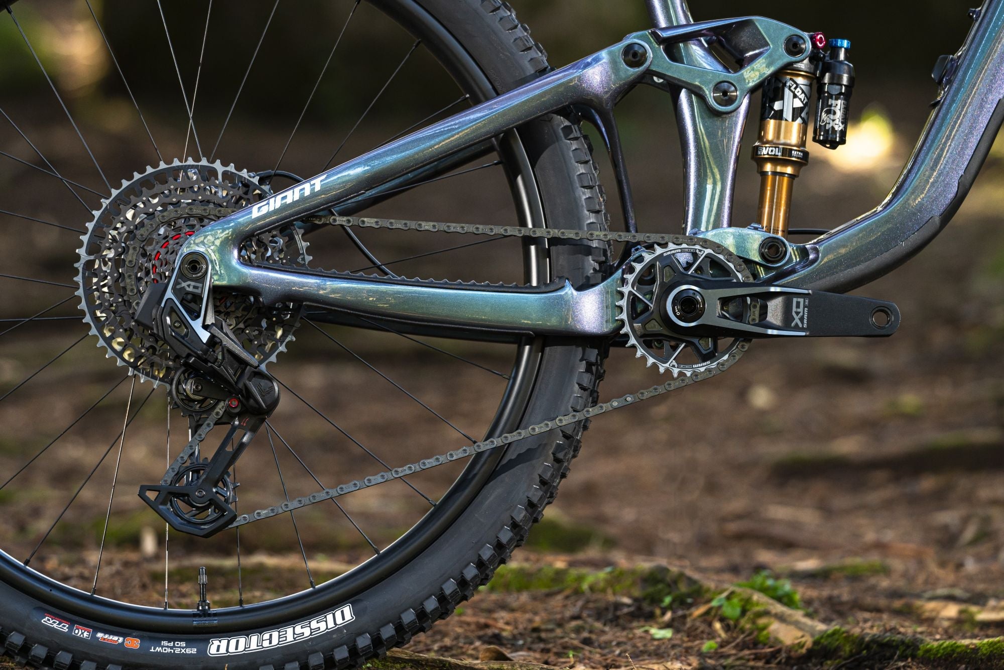 Bike: Bike Maintenance & Accessories