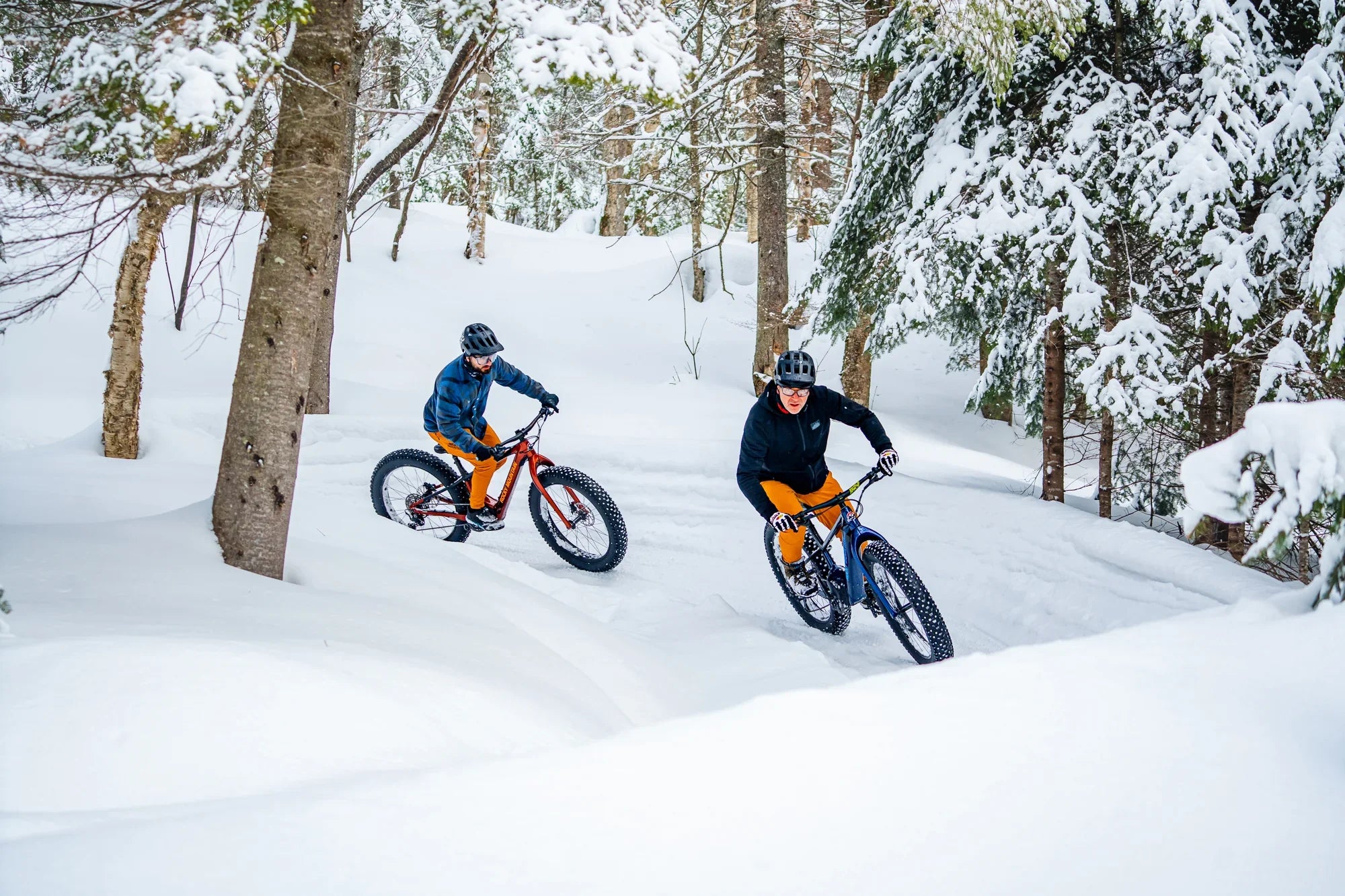 Bike: E-Bikes: Fat Bike
