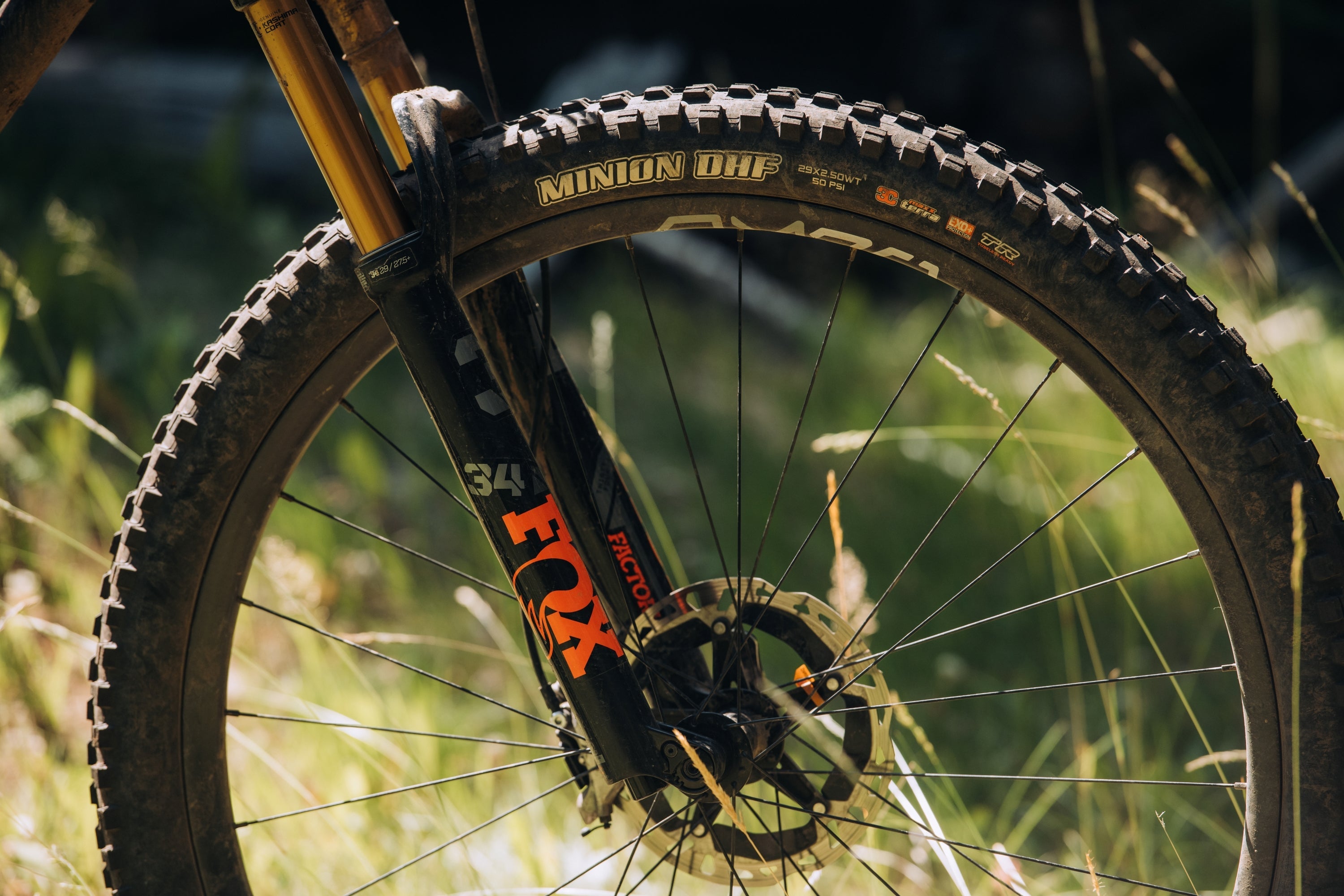 Bike: Bike Components: Forks & Suspension