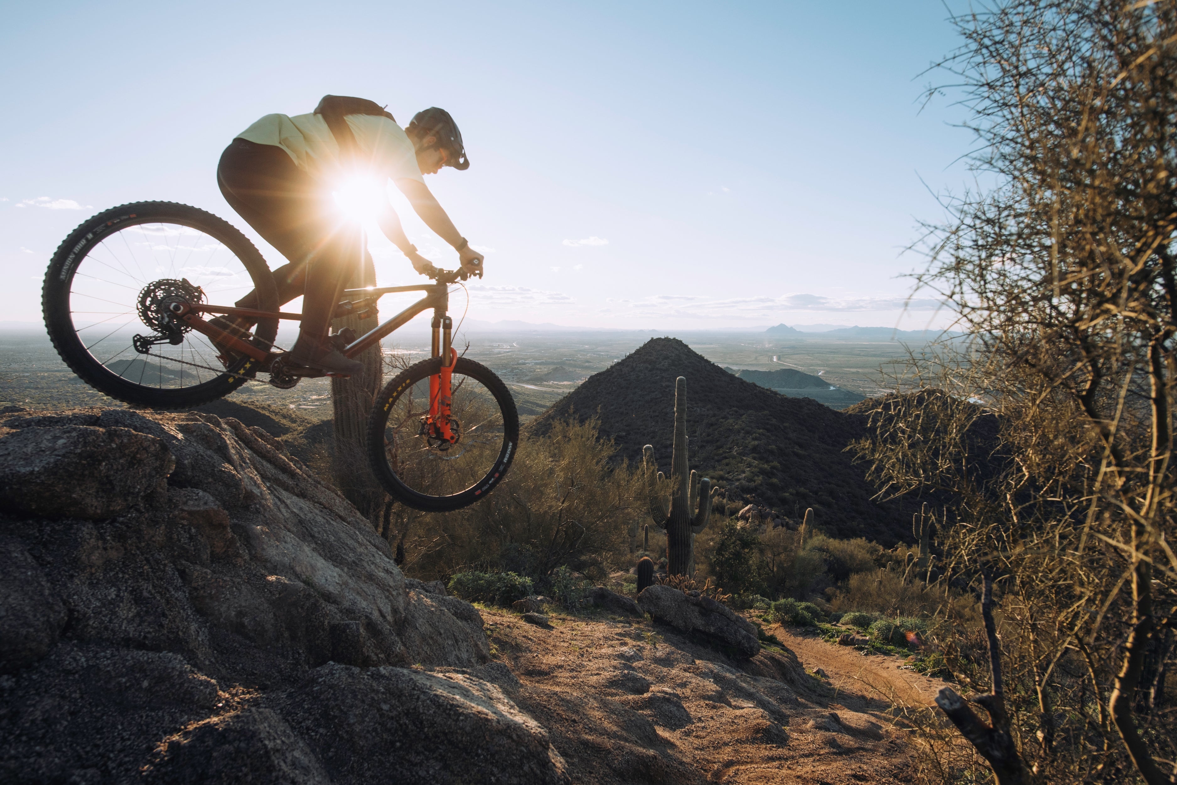 Bike: Bikes: Mountain Bikes