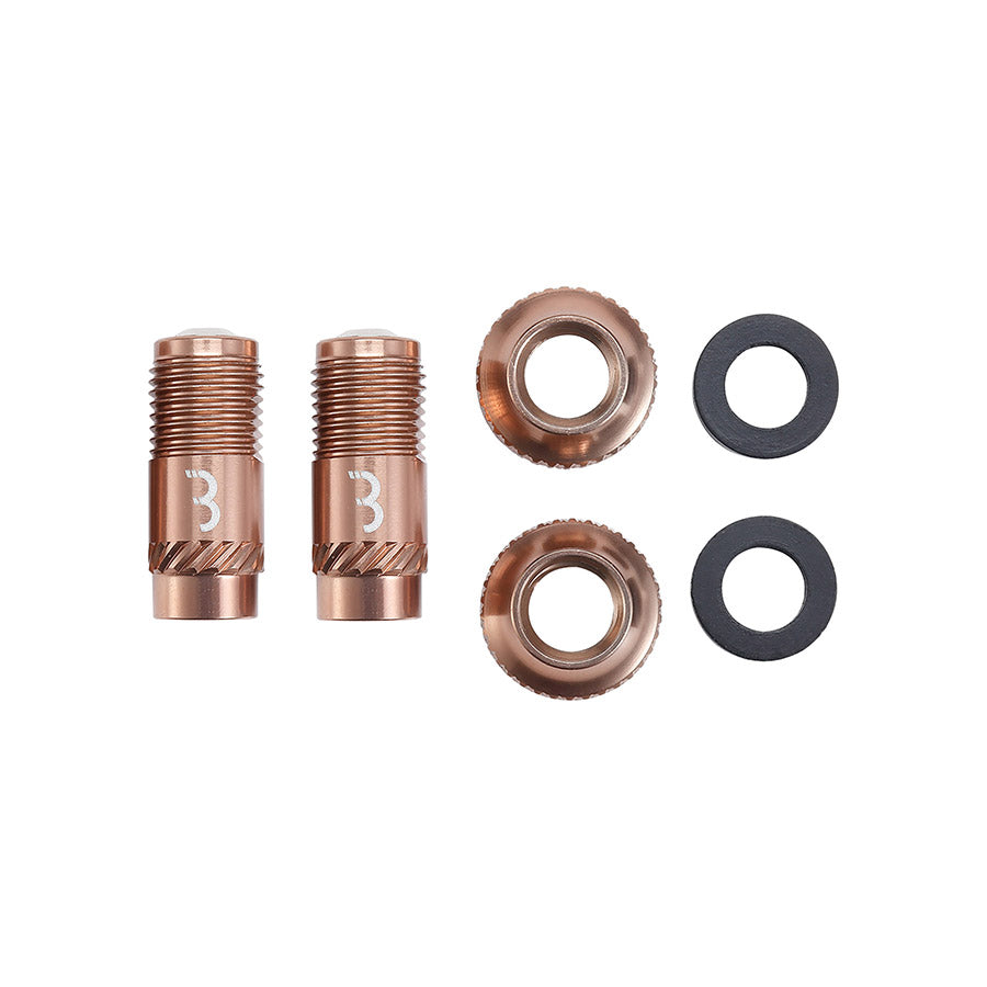 BBB Cycling, BTI-165 CoreCap, Tubeless Valve, Black, Pair