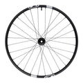 crankbrothers, Synthesis Alloy 2.0 DH, Wheel, Front, 29'' / 622, Holes: 28, 20mm TA, 110mm, Disc IS 6-bolt