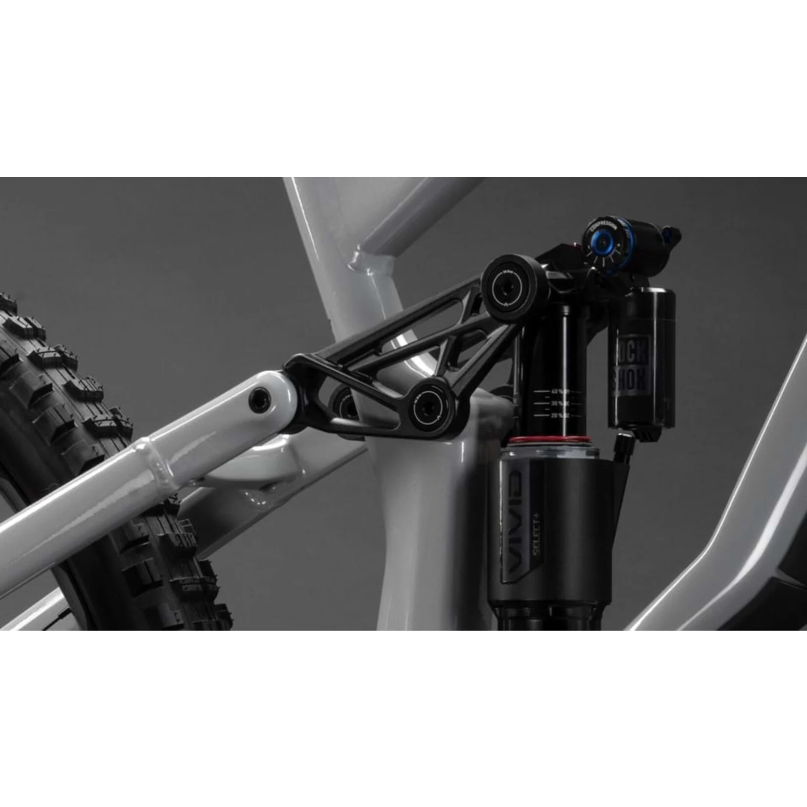 Close-up of a bicycle suspension fork on a gray background