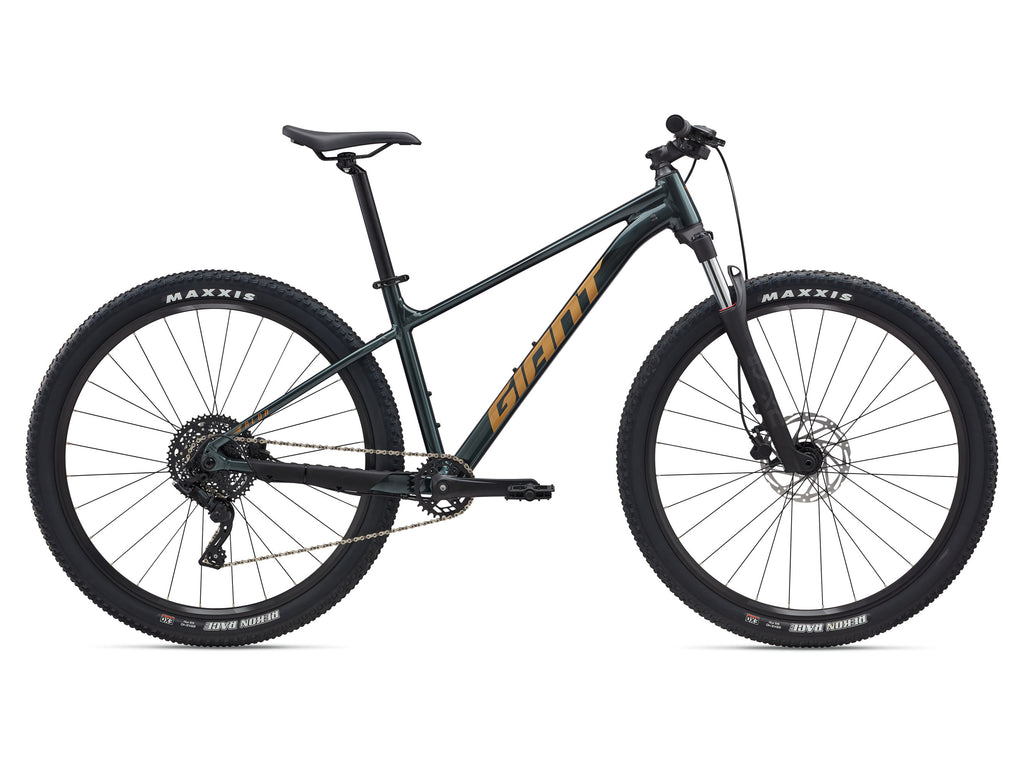 Black bicycle with 'Giant' branding on a white background