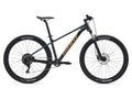 Black bicycle with 'Giant' branding on a white background