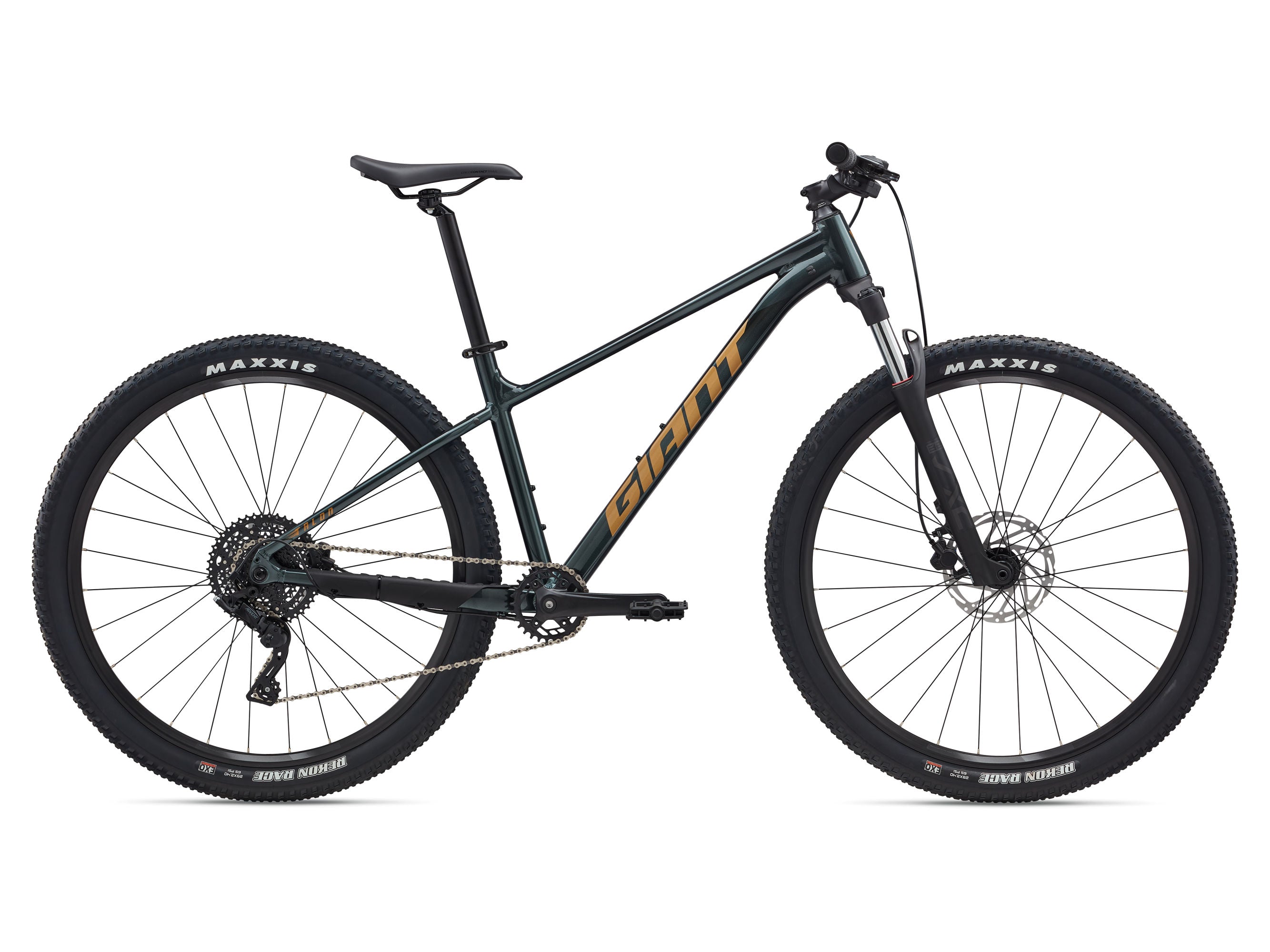 Black bicycle with 'Giant' branding on a white background
