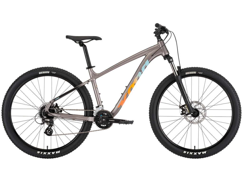 Mountain bike with a gray frame and black tires on a white background