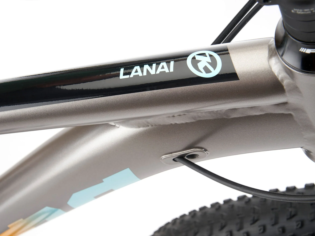 Close-up of a bicycle frame with 'LANAI' branding on a white background
