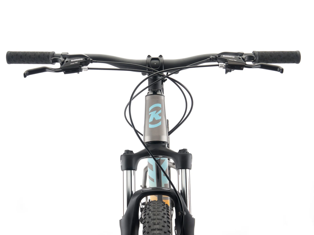 Close-up of a bicycle handlebar with a brand logo on a white background