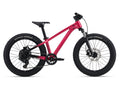 STP 20 FS