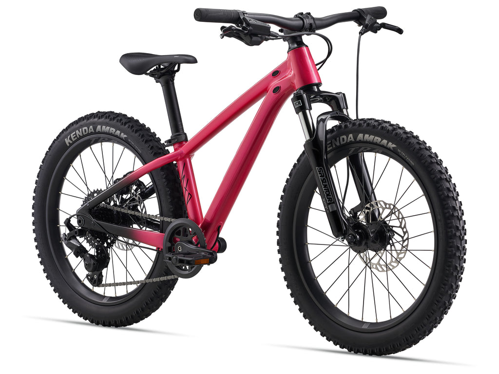 STP 20 FS