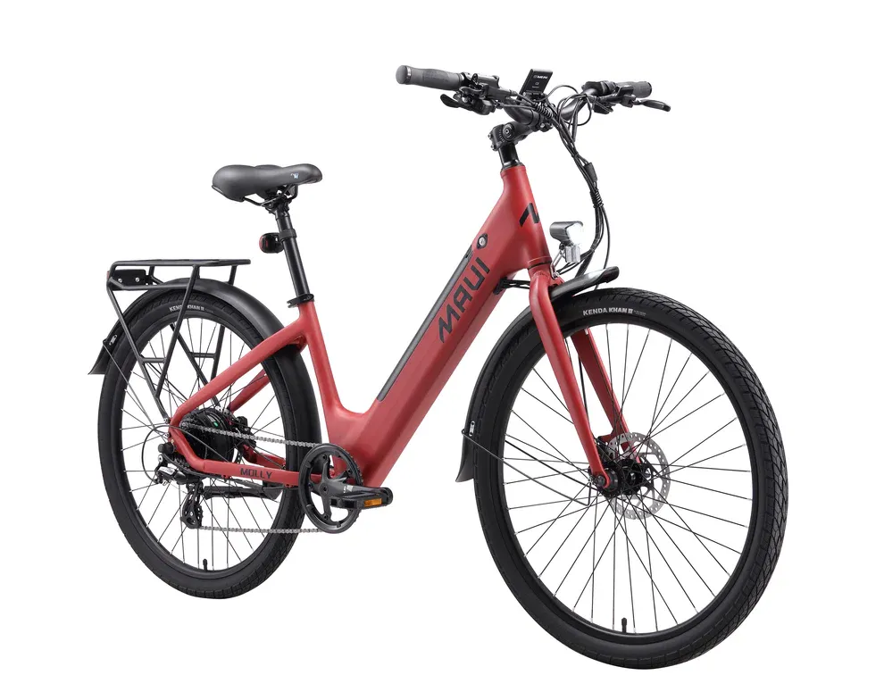Red electric bicycle on a white background