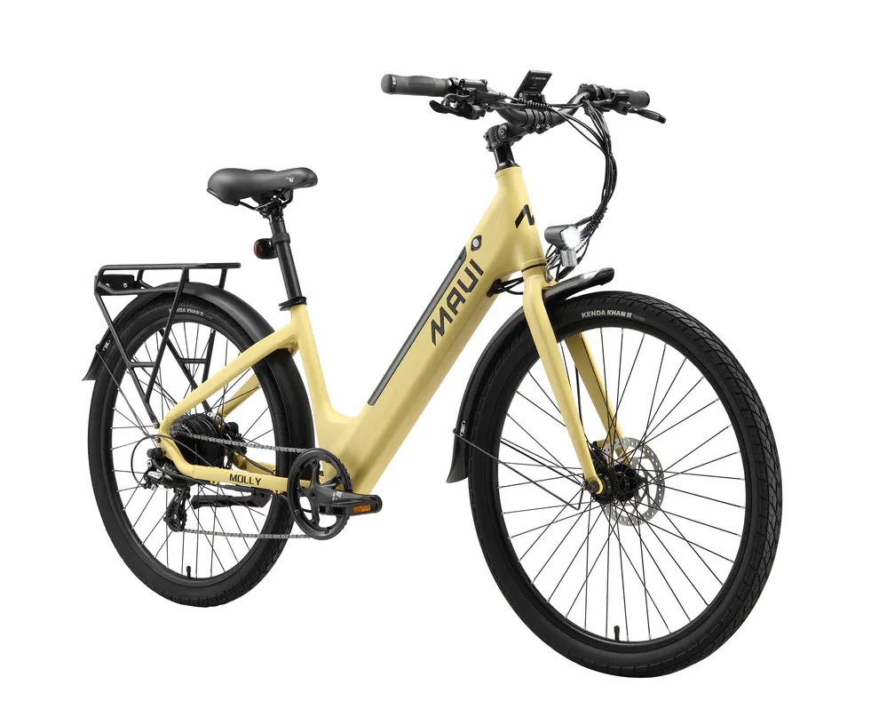 Beige electric bicycle with black wheels and visible brand name on a white background