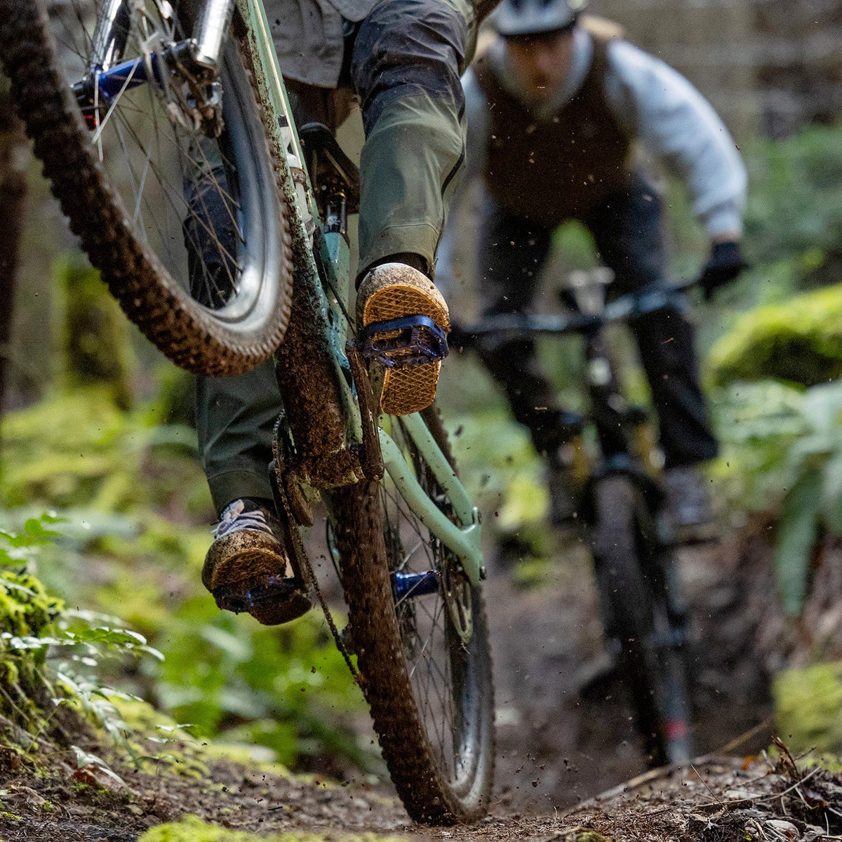 Two mountain bikers riding through a forest trail