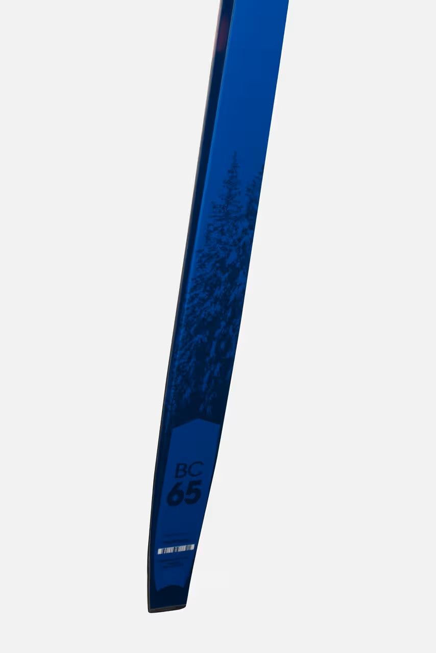 Blue ski with 'BC 65' branding on a white background