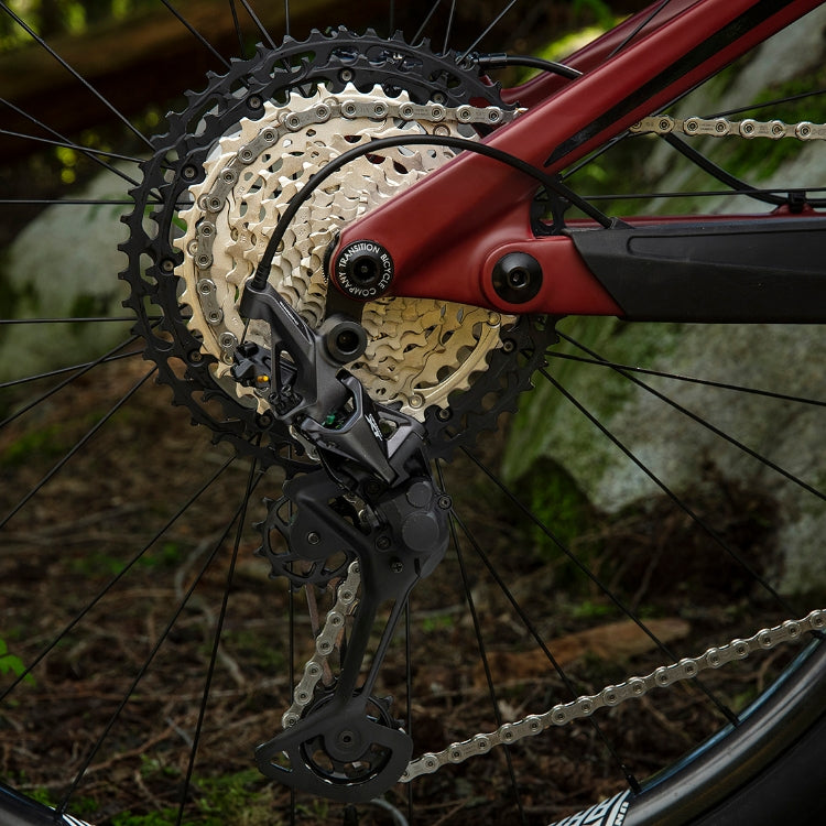 Close-up of a bicycle's gear system with a blurred natural background