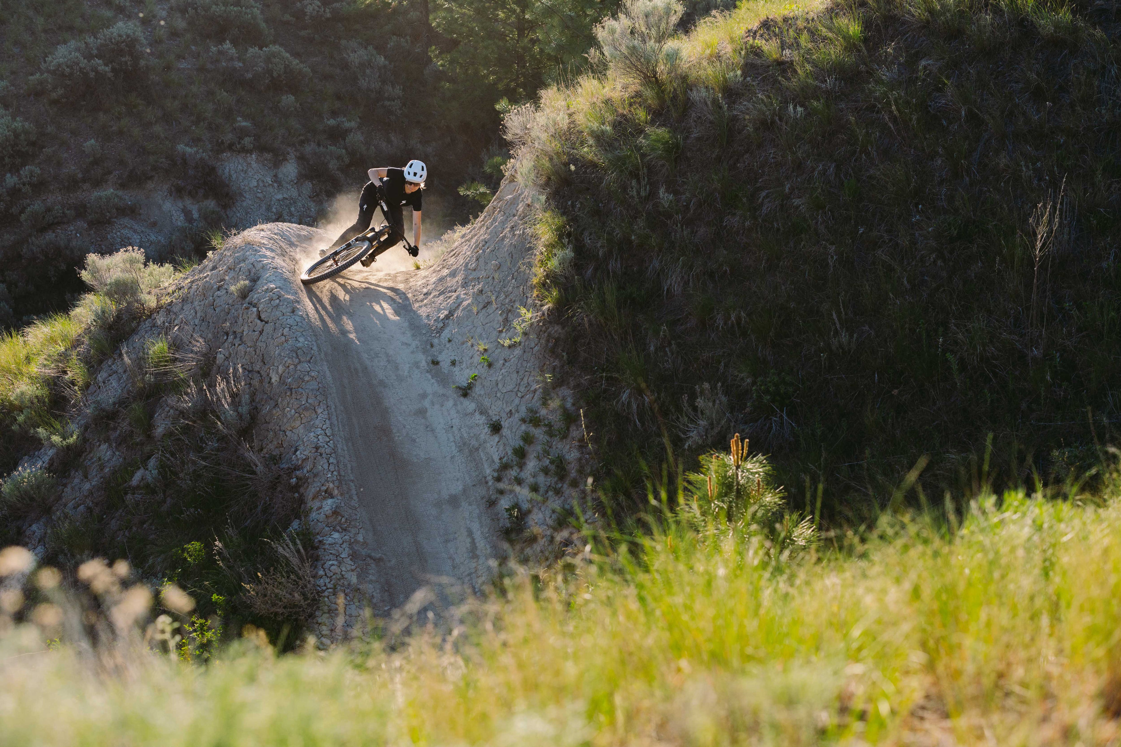 Person riding a bike on a dirt hill with trees and grass in the background