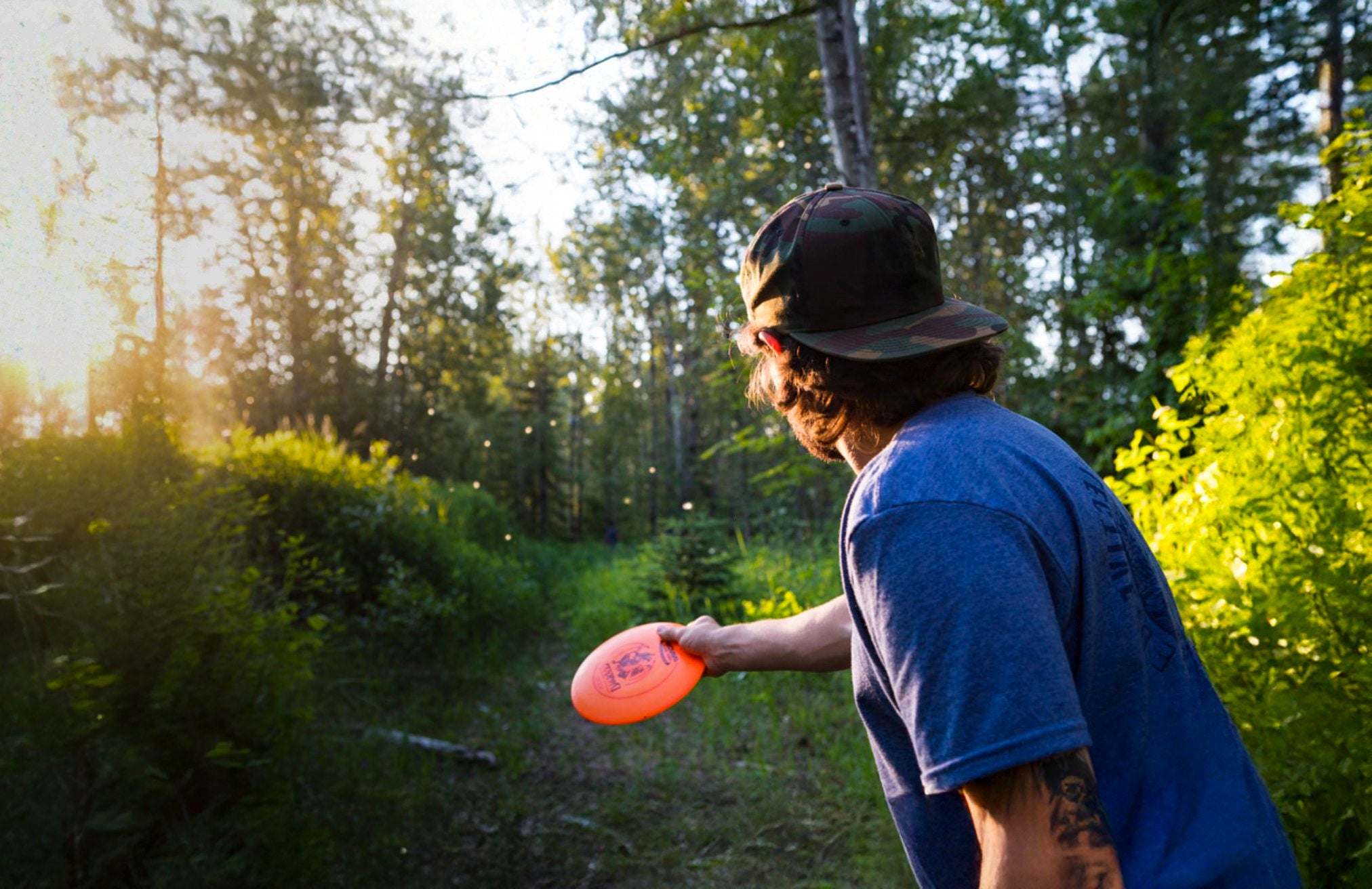 Person holding a frisbee in a forest during sunset