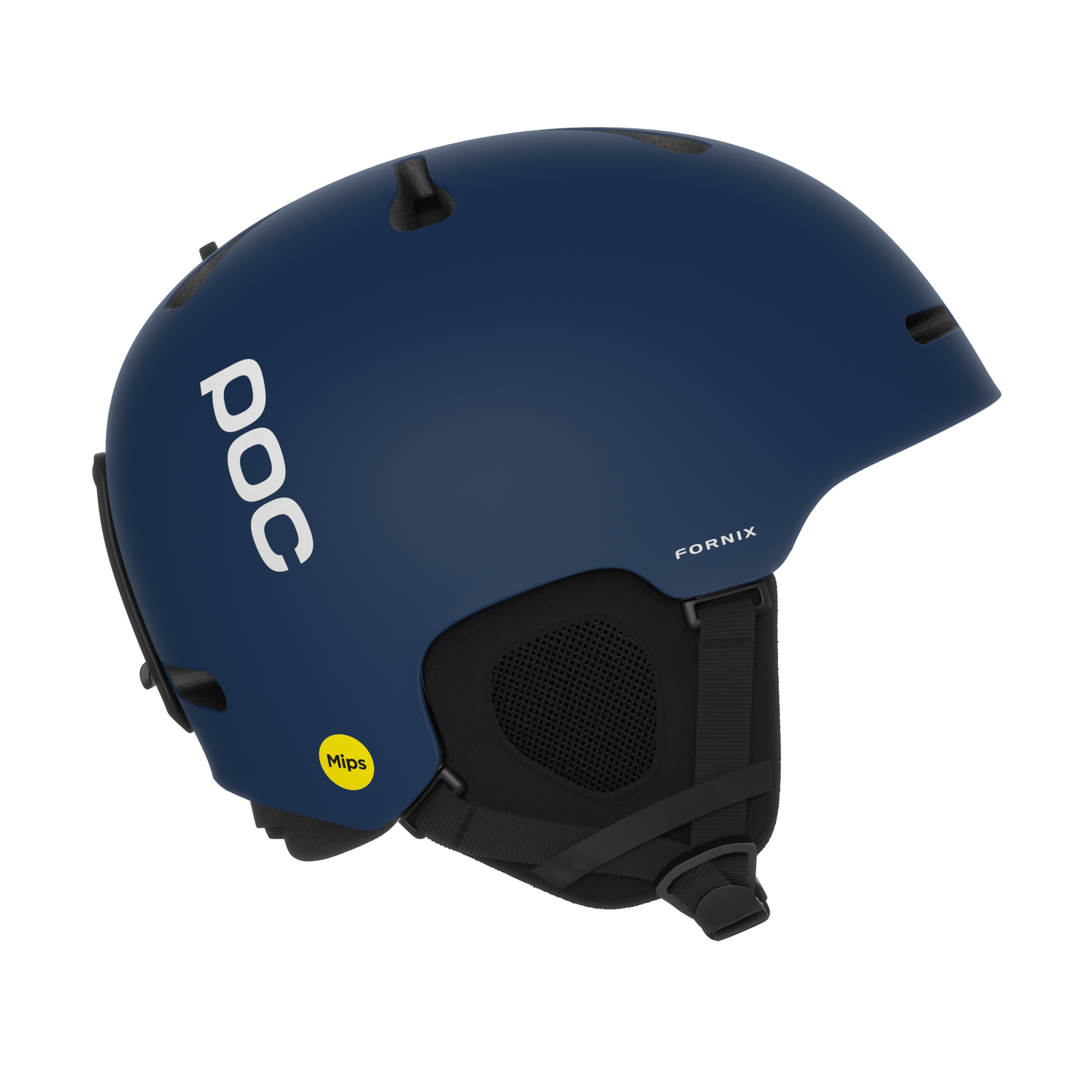 Fornix MIPS
