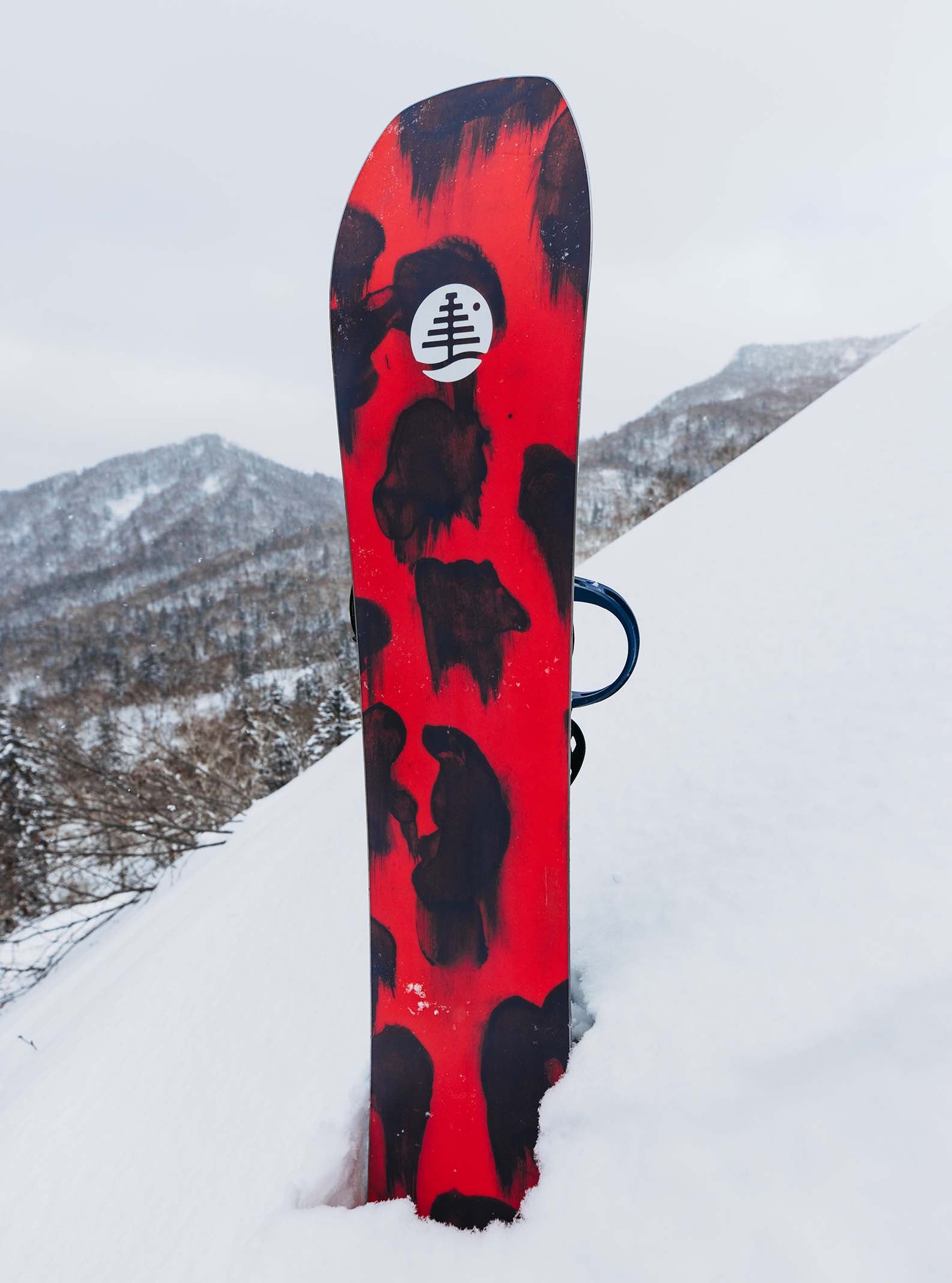 Arbre généalogique, héros local, snowboard