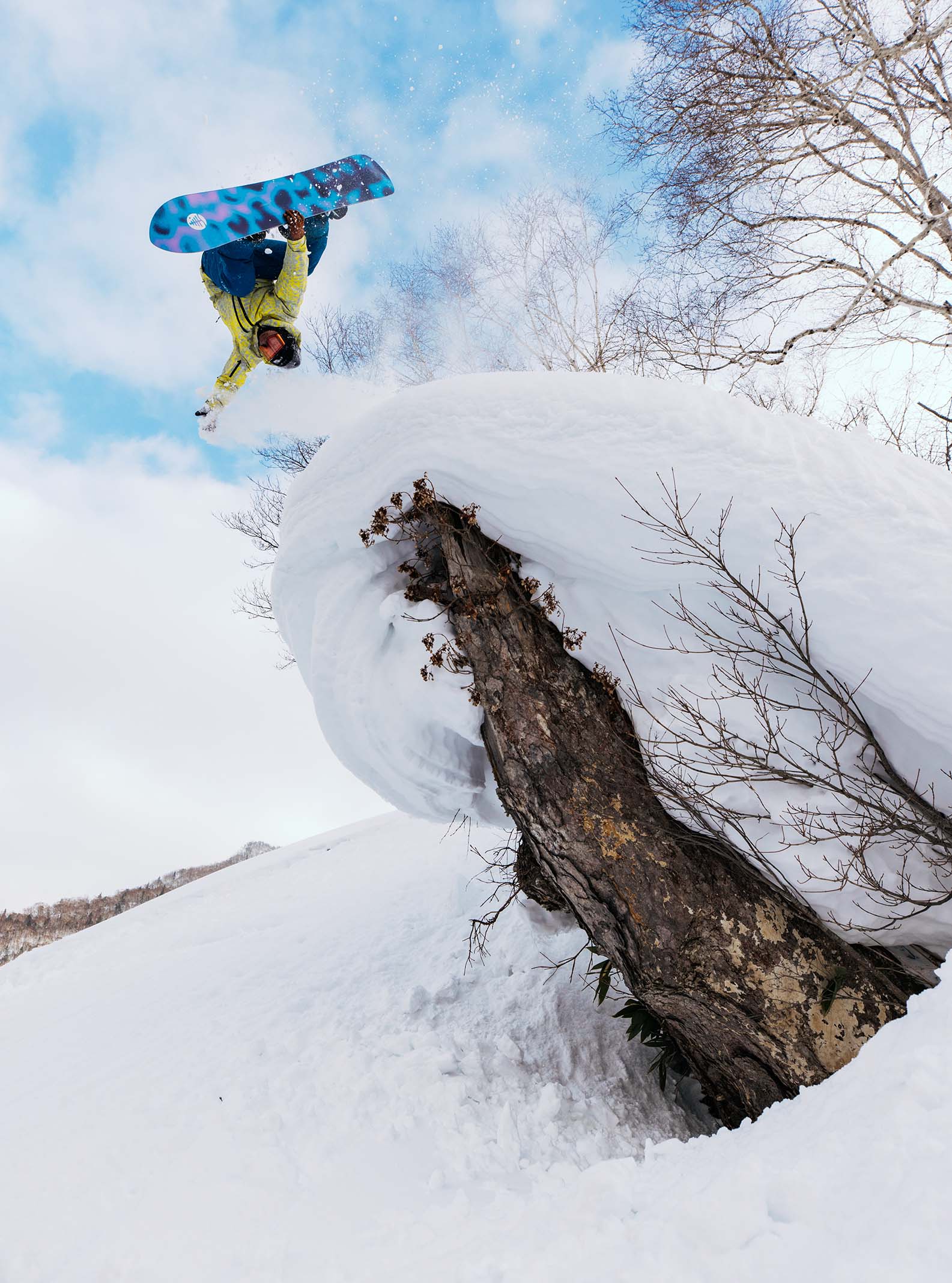Family Tree Sketch Artist Camber Snowboard