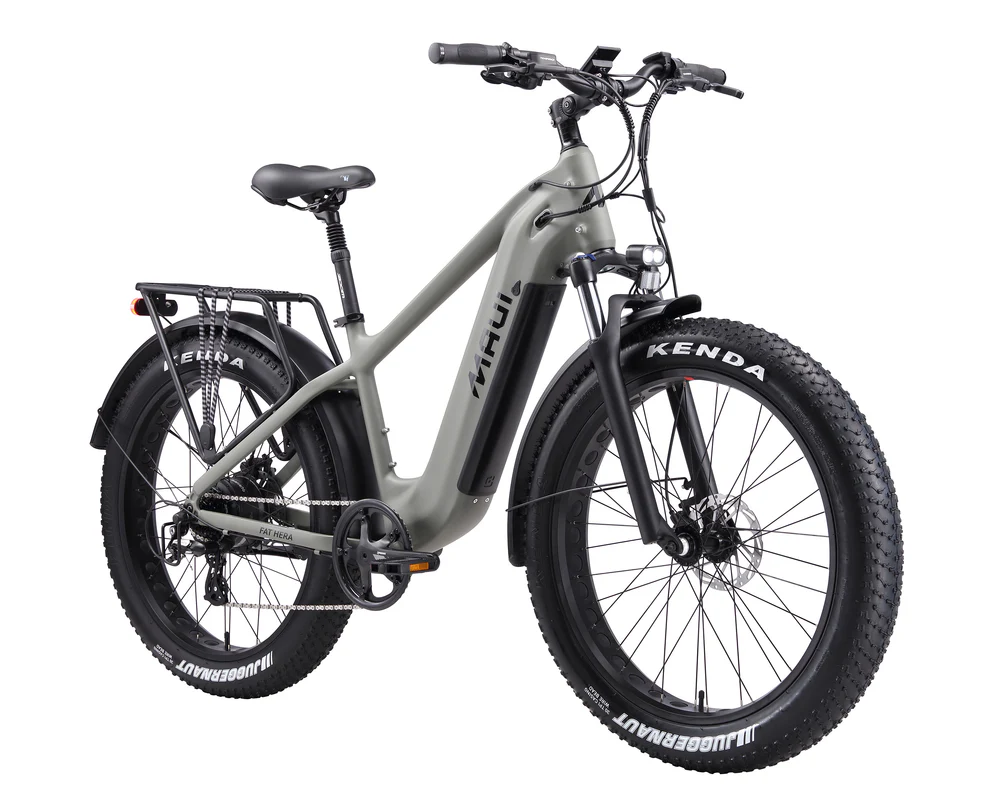 Fat Bike Hera
