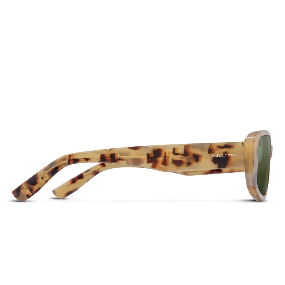 Sunglasses with tortoiseshell frame on a white background
