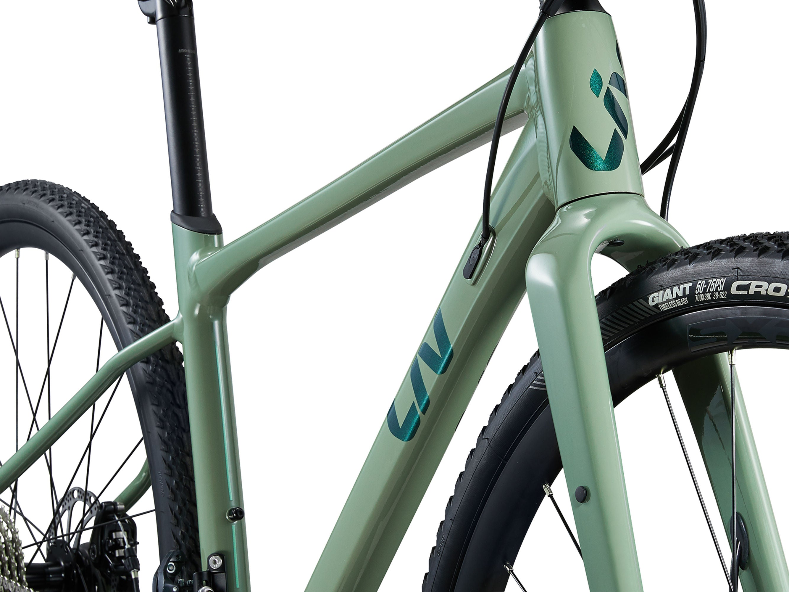 Close-up of a green bicycle frame with 'Giant' branding on a white background