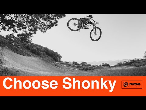 Shonky