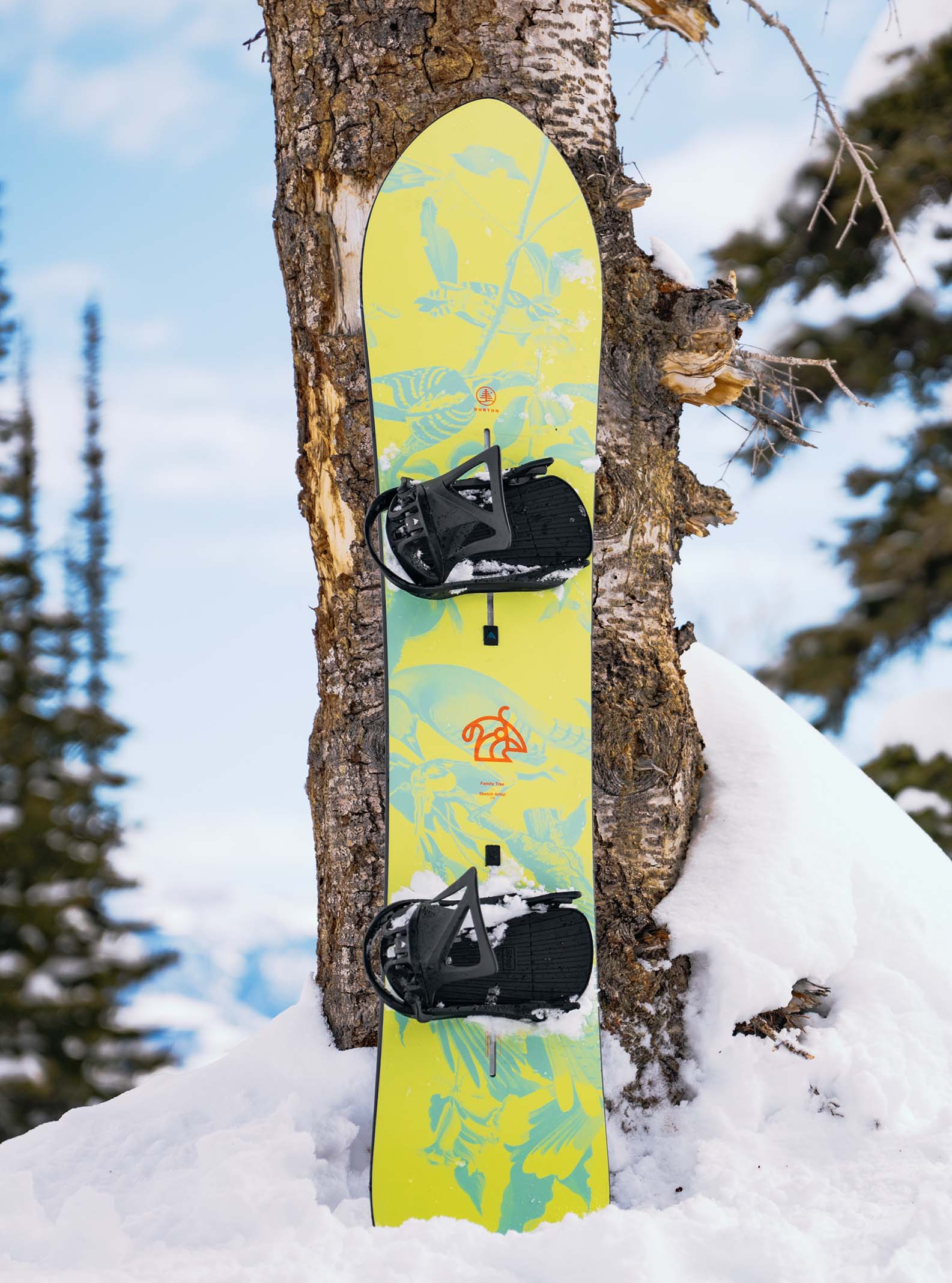 Family Tree Sketch Artist Camber Snowboard