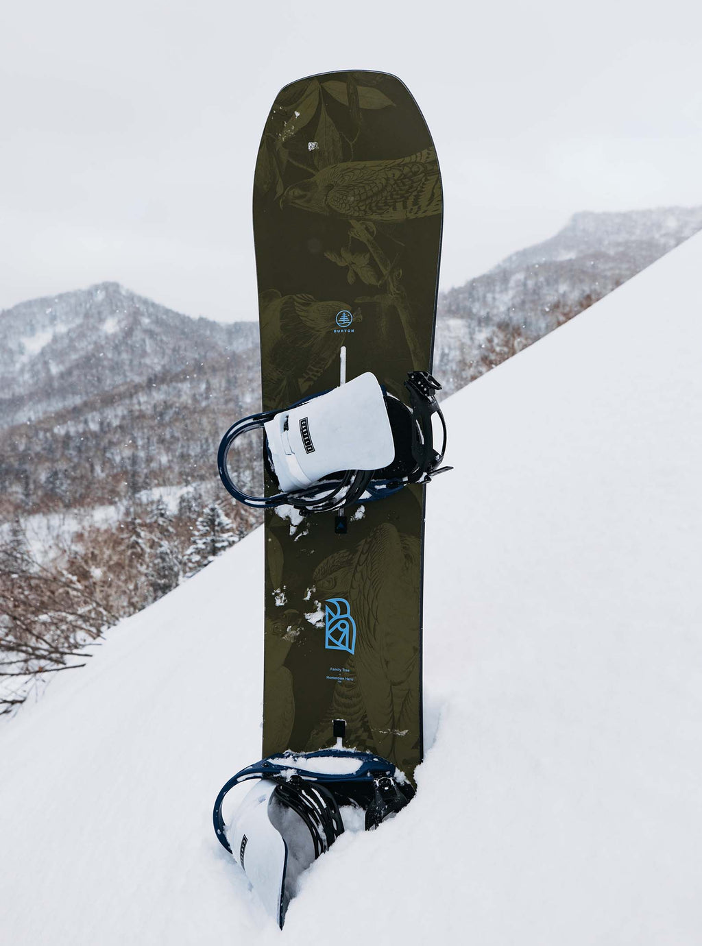 Arbre généalogique, héros local, snowboard