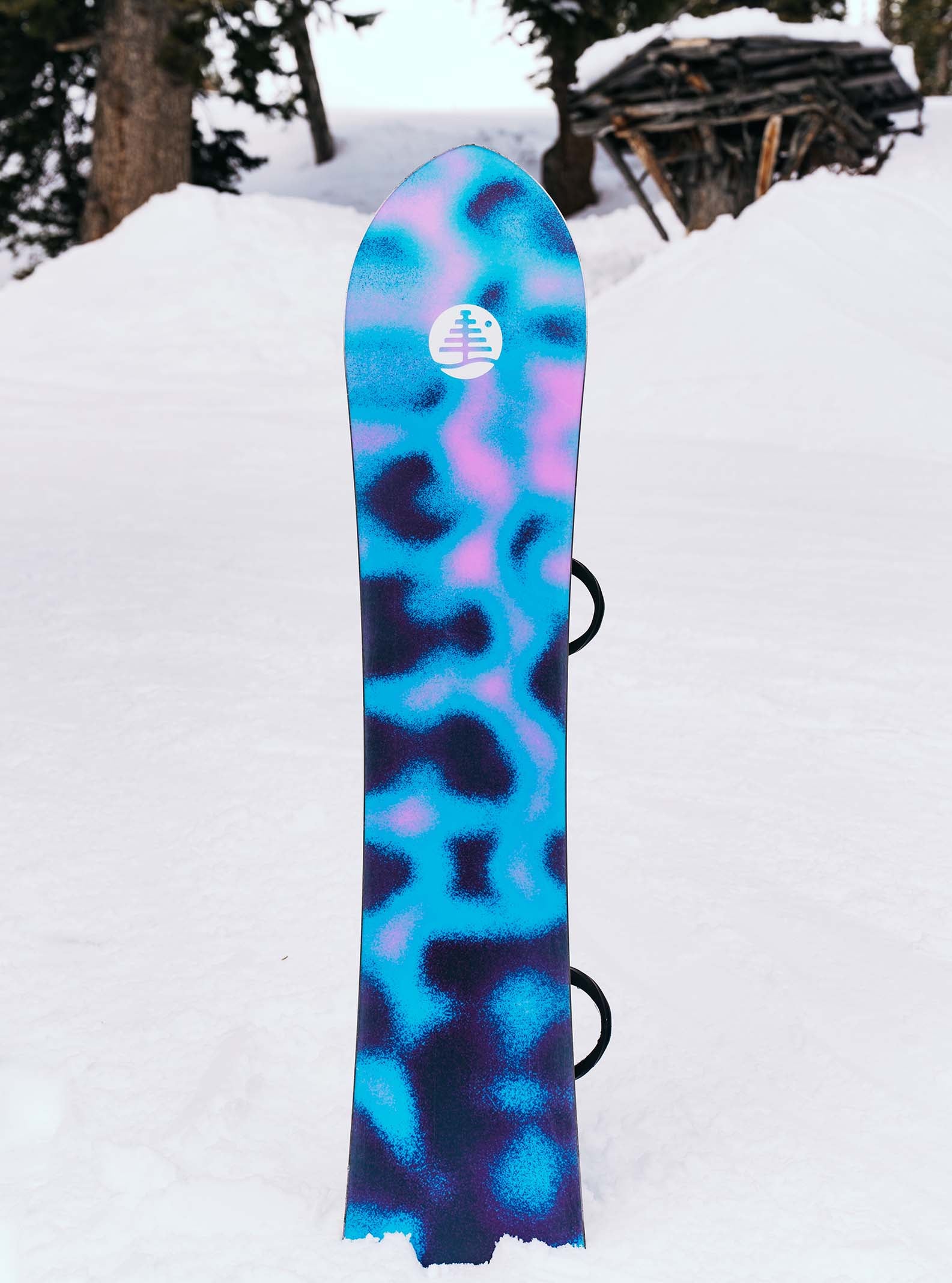 Family Tree Sketch Artist Camber Snowboard
