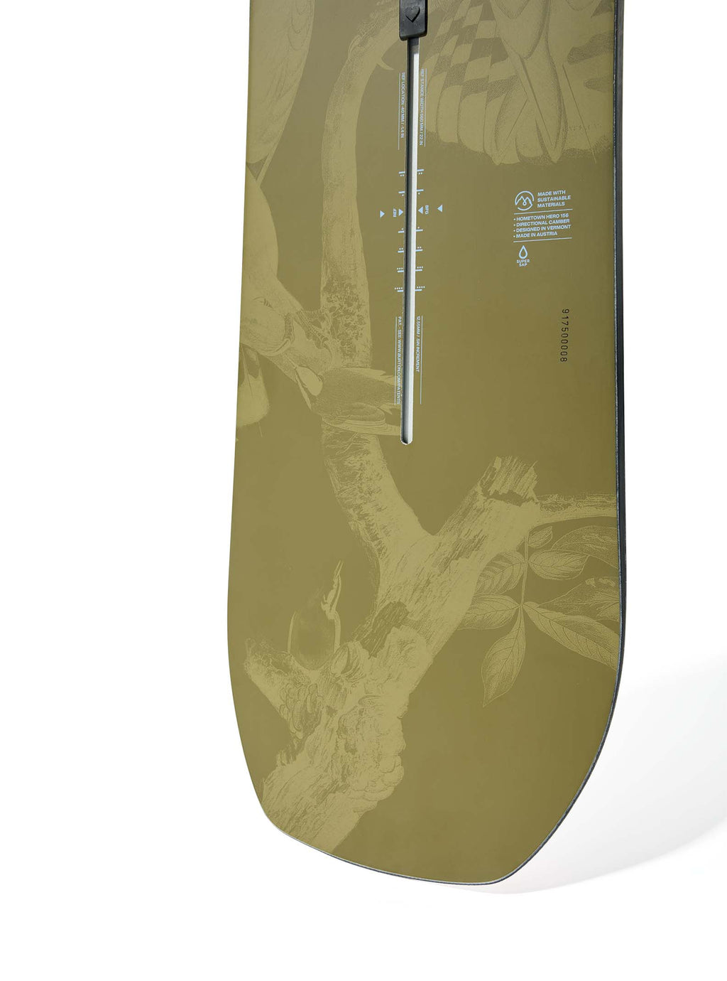 Arbre généalogique, héros local, snowboard