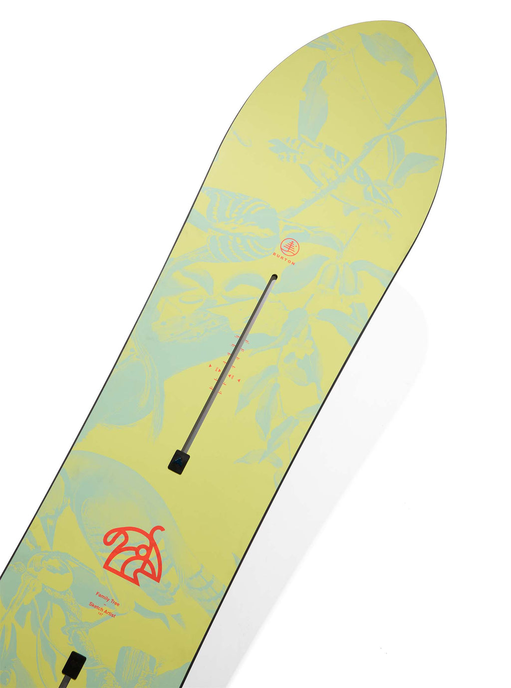 Croquis d'arbre généalogique, artiste Camber Snowboard